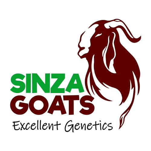 Sinza Breeding